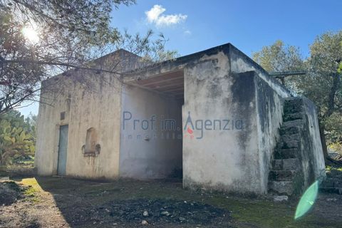 Landejendom i Ostuni, Brindisi, Ostuni - € 53.000 | Ref: 172821 - foto 3